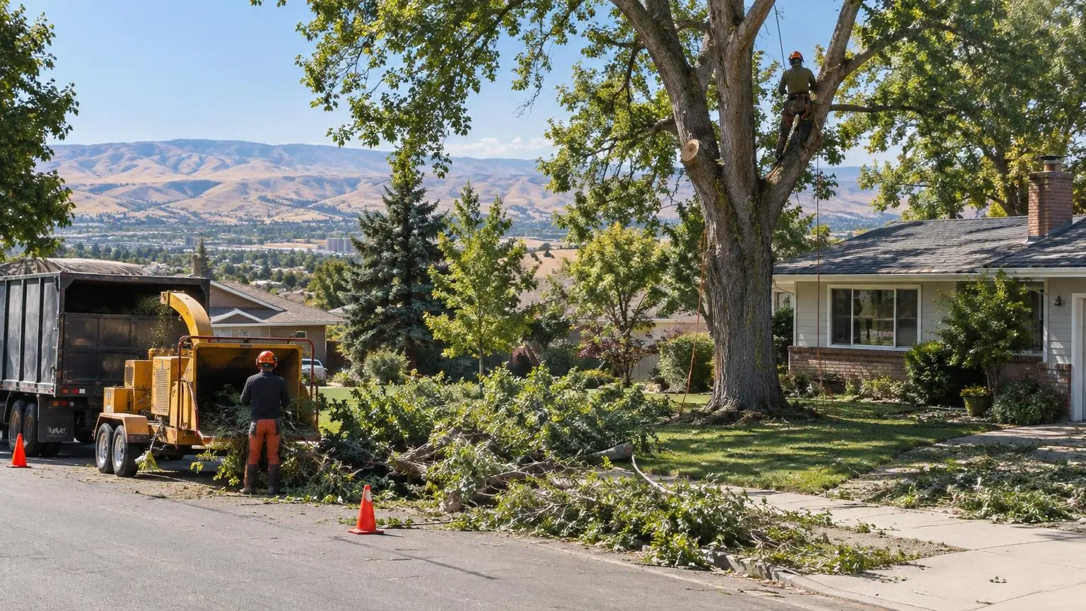 Tree Service in Boise, ID